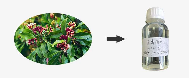 Natural Eugenol Oil 1