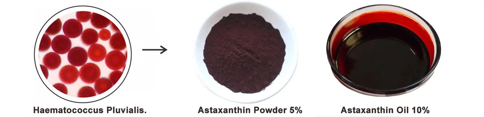 natural Astaxanthin natural Astaxanthin