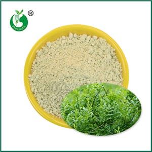 ডাইহাইড্রোমাইরিসেটিন পাউডার