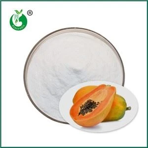 জৈব পেপেইন পাউডার