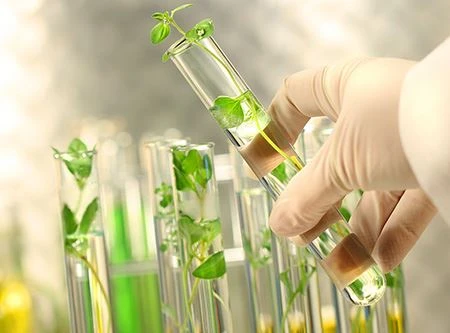 উদ্ভিদ এক্সট্রাক্ট মার্কেট আউটলুক 2021
