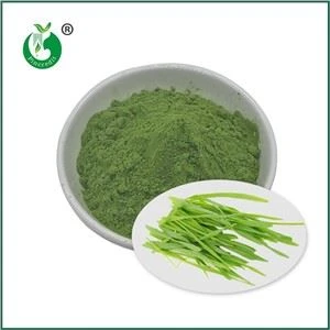 বার্লি ঘাস রস গুঁড়া