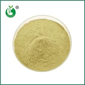 ভিটামিন K2 এবং MK7 কি একই?