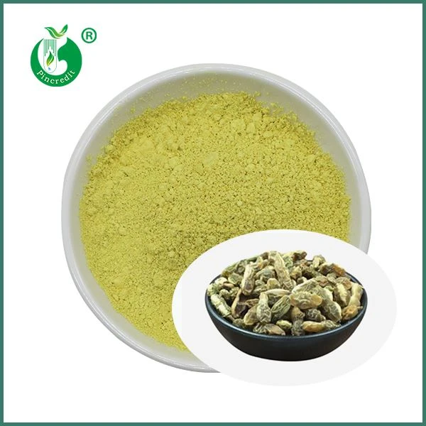 পাইকারি Kaempferol পাউডার