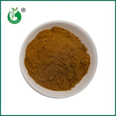 Pincredit গরম বিক্রয় জৈব মাশরুম নির্যাস পাউডার