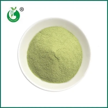 নতুন আগমন: ম্যাচা ল্যাটে পাউডার