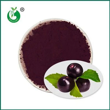 বিশুদ্ধ Acai আপনার জন্য ভাল?