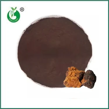 চাগা এক্সট্র্যাক্ট পাউডার এর উপকারিতা এবং ব্যবহার