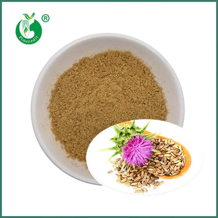 দুধ থিসল বীজ নির্যাস Silymarin Silybins