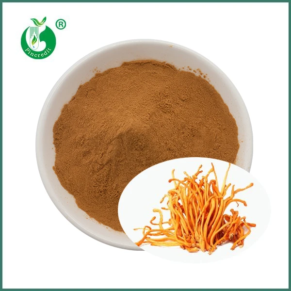 কর্ডিসেপস মিলিটারিস এক্সট্র্যাক্ট পাউডার